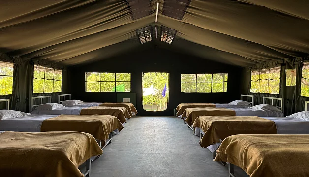 Forest Camping